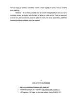 Referāts 'Pašnāvības princips', 15.