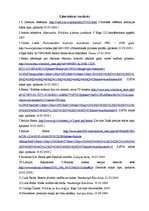 Referāts 'Induļa Emša valdības krišanas iemesli', 16.