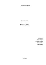 Referāts 'Biznesa plāns', 1.