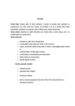 Referāts 'Biznesa plāns', 3.