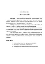 Referāts 'Biznesa plāns', 4.