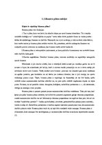 Referāts 'Biznesa plāns', 5.