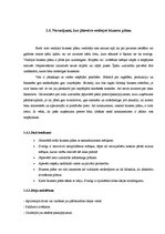 Referāts 'Biznesa plāns', 7.