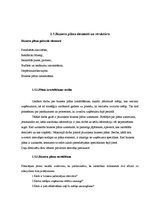 Referāts 'Biznesa plāns', 9.