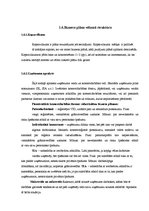 Referāts 'Biznesa plāns', 11.