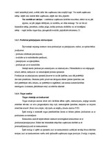 Referāts 'Biznesa plāns', 12.