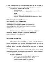 Referāts 'Biznesa plāns', 13.