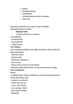 Referāts 'Biznesa plāns', 14.