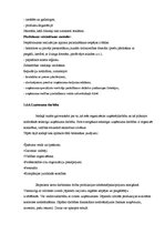 Referāts 'Biznesa plāns', 15.