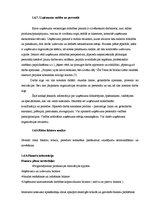 Referāts 'Biznesa plāns', 16.