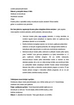 Referāts 'Biznesa plāns', 17.