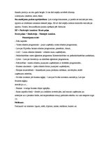 Referāts 'Biznesa plāns', 18.