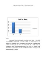 Referāts 'Biznesa plāns', 23.