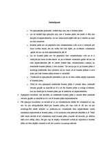 Referāts 'Biznesa plāns', 26.