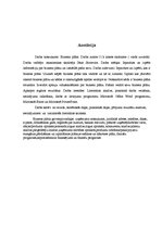 Referāts 'Biznesa plāns', 28.