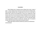 Referāts 'Biznesa plāns', 29.