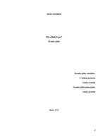 Referāts 'Biznesa plāns', 33.