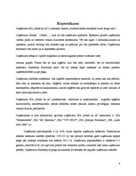 Referāts 'Biznesa plāns', 35.