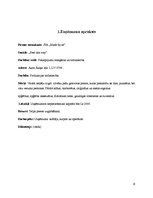 Referāts 'Biznesa plāns', 37.