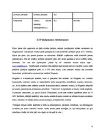 Referāts 'Biznesa plāns', 39.