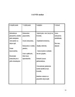 Referāts 'Biznesa plāns', 45.