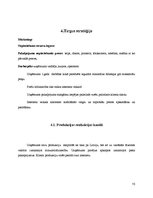 Referāts 'Biznesa plāns', 46.