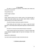 Referāts 'Biznesa plāns', 47.