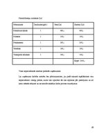 Referāts 'Biznesa plāns', 51.