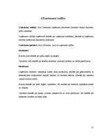 Referāts 'Biznesa plāns', 52.