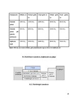 Referāts 'Biznesa plāns', 57.