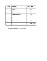 Referāts 'Biznesa plāns', 58.