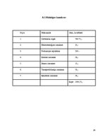 Referāts 'Biznesa plāns', 59.