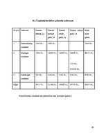 Referāts 'Biznesa plāns', 60.