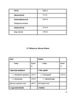 Referāts 'Biznesa plāns', 63.