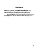 Referāts 'Biznesa plāns', 65.