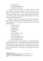 Referāts 'Zīmola loma uzņēmuma SIA "Rimi Latvia" attīstībā', 8.