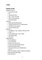 Referāts 'Pašvaldības, pagasta attīstība', 5.