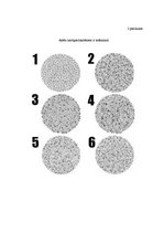 Konspekts 'Konspekts dabas zinību stundai', 5.