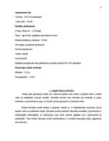 Referāts 'Muižu piemērošana viesmīlības vajadzībām', 4.