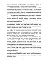 Prakses atskaite 'Riska ģimeņu veidošanās cēloņi', 10.