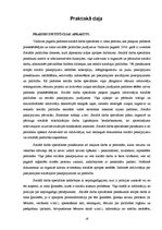 Prakses atskaite 'Riska ģimeņu veidošanās cēloņi', 18.