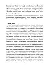 Prakses atskaite 'Riska ģimeņu veidošanās cēloņi', 19.