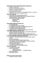 Konspekts 'Grāmatvedības organizācija uzņēmumā', 2.