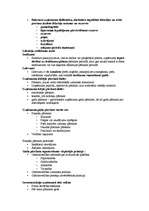 Konspekts 'Grāmatvedības organizācija uzņēmumā', 5.