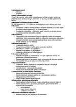 Konspekts 'Grāmatvedības organizācija uzņēmumā', 8.