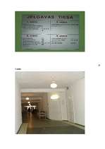 Referāts 'Jurista profesija', 20.