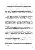 Prakses atskaite 'Bānūžkalns un tā apkārtne', 17.