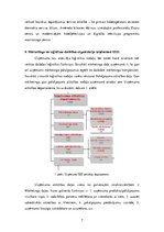 Referāts 'Uzņēmuma "IZZI" kabeļtelevīzijas pakalpojuma loģistikas ķēde un tās raksturojums', 7.