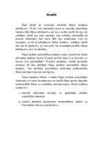 Eseja 'Ētikas kodeksa pārkāpums', 2.