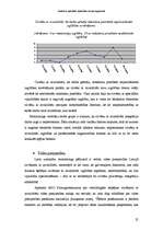 Referāts 'Studenti ar speciālām vajadzībām Latvijas augstskolās', 17.